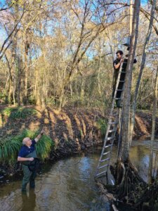 molluSCAN-eye®-Station im Bach unterhalb der Kläranlage von Saucats, Gironde