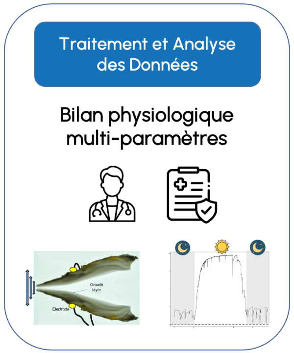 Analyse des données