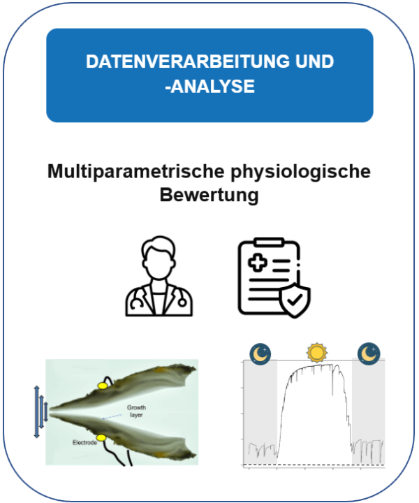 card-data-de