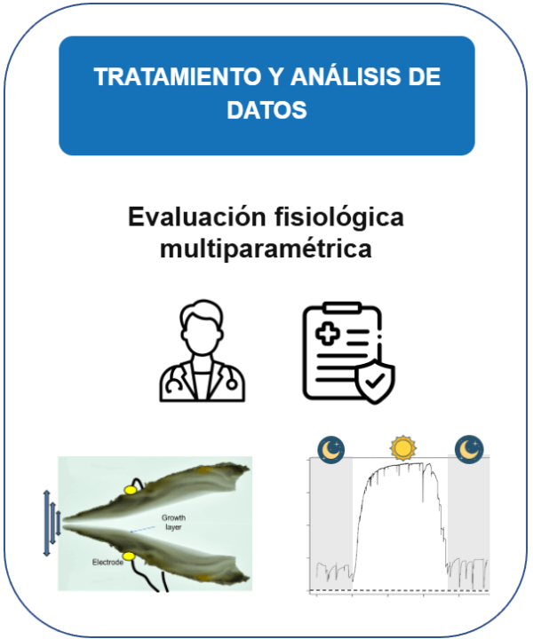 card-data-es-v2