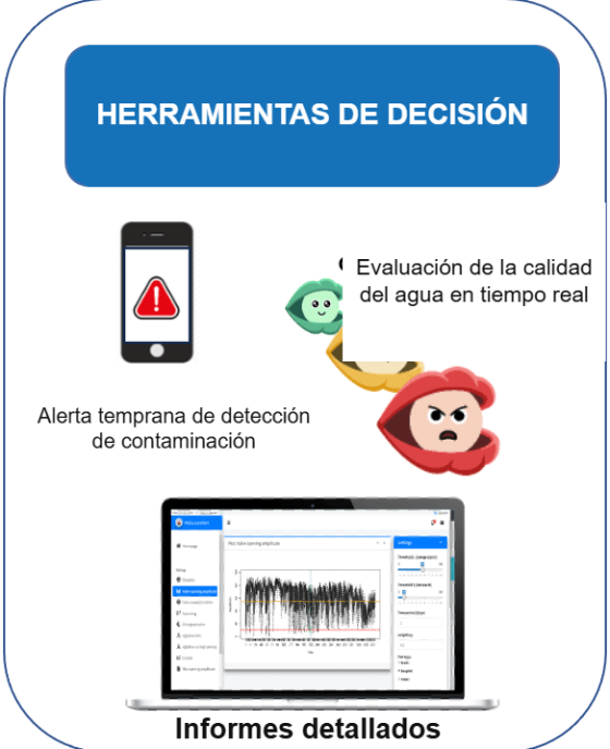card-decision-es-v2